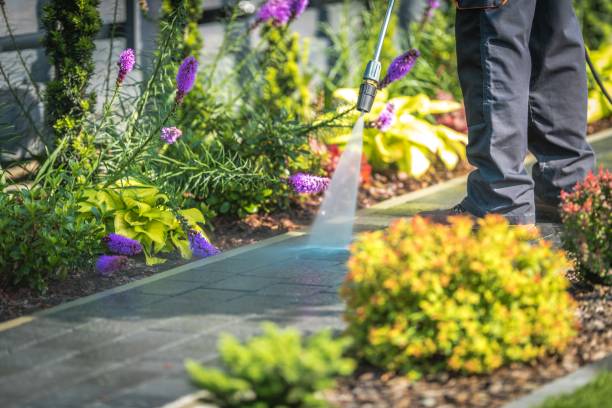 Best Concrete Surface Cleaning in Independent Hill, VA