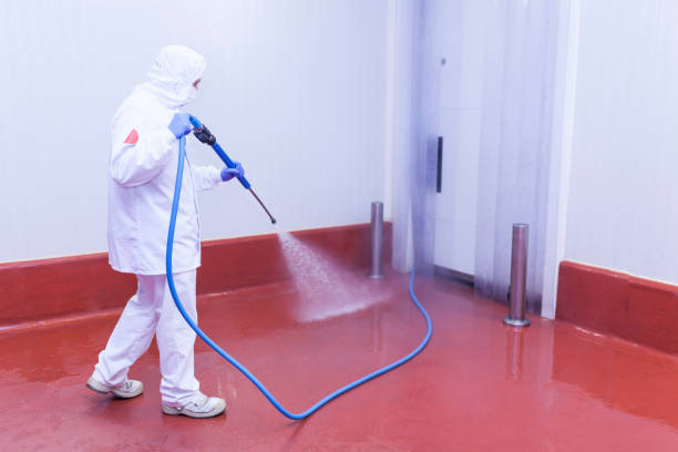 Best Rust and Stain Removal in Independent Hill, VA